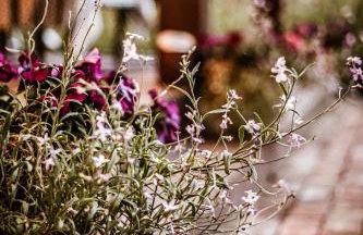 Kaszubski Dom Podcieniowy Bohema - Foto 13