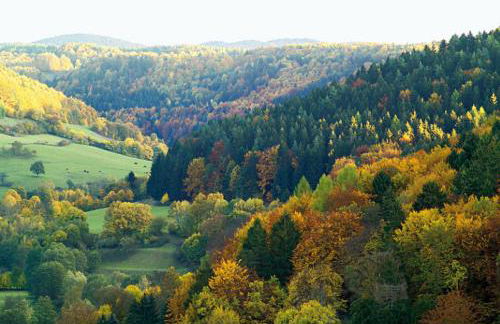 HummelCasa Ferienhaus Bayreuth - Foto 57