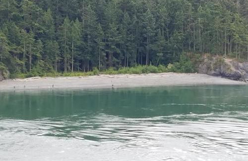 Multi Resorts at Kala Point - Foto 28