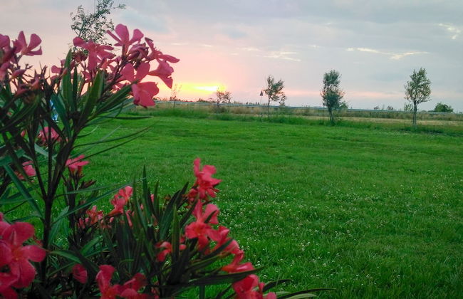 Agriturismo San Matteo - Foto 43