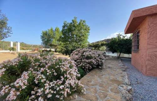 Villa Elisabeth - Foto 39