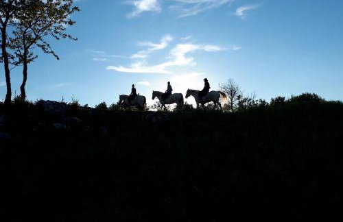 Apartment Lipa - Foto 36