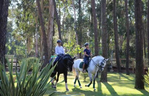 Varandas do Pinhal - Foto 12