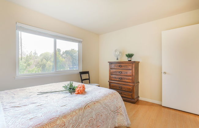 Chips and Salsa - Foto 7