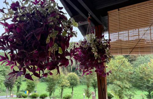 VILA LASOVIC + POOL + JACUZZI + SAUNA - Foto 34