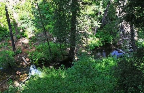 OVER THE RIVER AND THROUGH THE WOODS - Foto 29