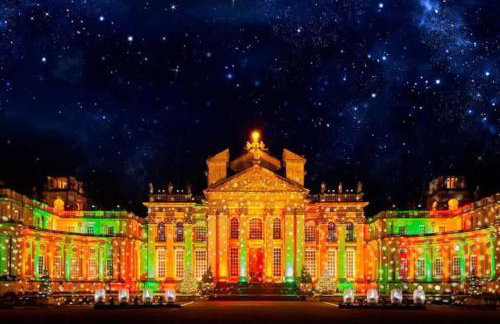 The Green Bus and the lodge - Foto 24