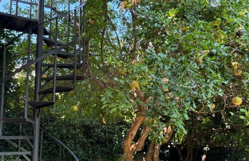 appartamento in villa a Pietragrande Villa Mi Vida - Photo 41