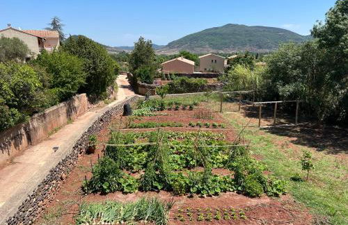 Villa au lac du Salagou - 10 pers - Foto 24