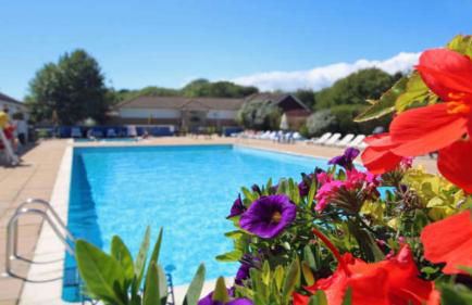 Casita De Cuervo at Shorefield Park - WIFI - Pet Friendly - Passes Included - Photo 1