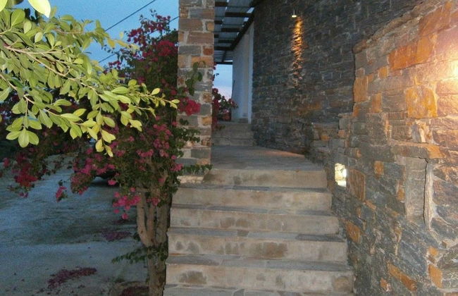 Elea Koundouros - Foto 14