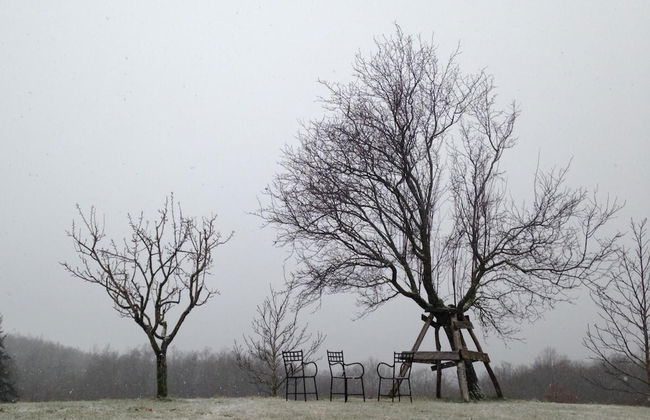 Agriturismo La Casina della Burraia - Photo 57