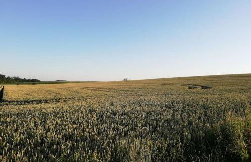 Ferienhaus romantisches Cottage - 2 Schlafzimmer und 2 Bäder - auf historischer Hofreite - Foto 47