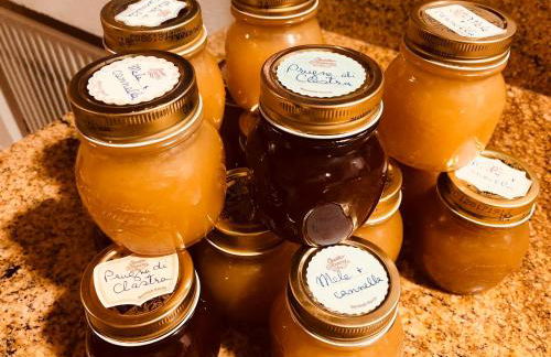 Casa della Meridiana - Photo 17