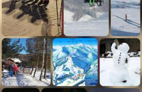 Apartament Studio - Willa Lawenda - Foto 10