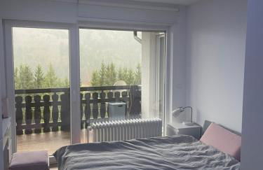 Wohnung im Schwarzwald mit Panorama Blick - Foto 18