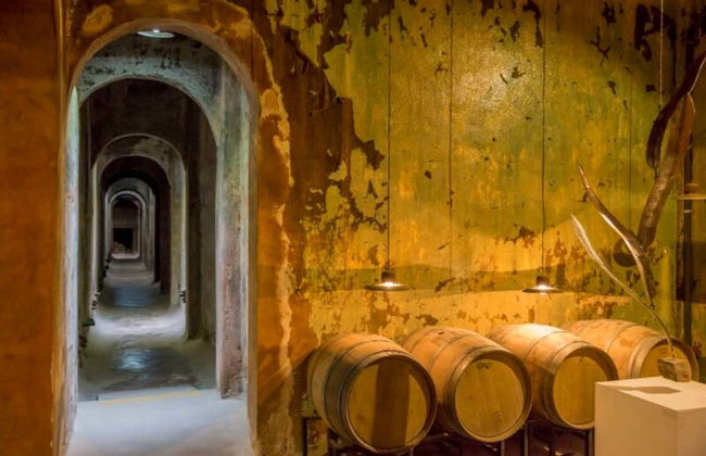 Colonia Caroya Wineries Tour & Tasting - Foto 4