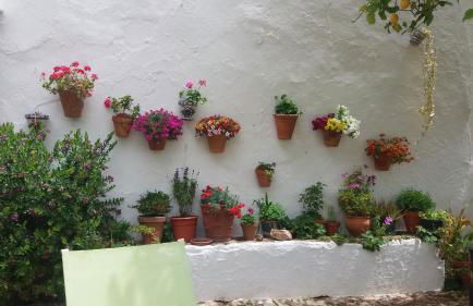 Finca La Favorita- Suites - Foto 52