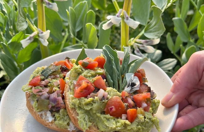 West Lexham - Photo 16