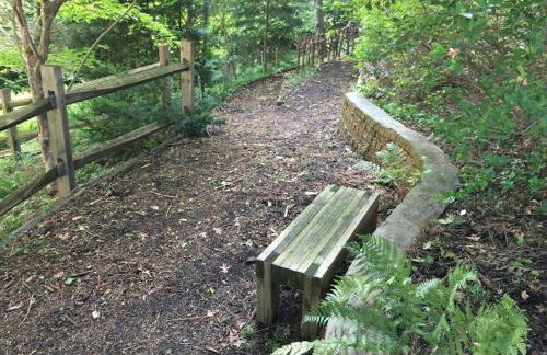 Secret Garden Getaway - Apartment in Asheville near the Great Smokey Mountains! - Foto 32