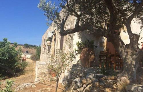 Tsikalaria Traditional Stone House - Photo 34