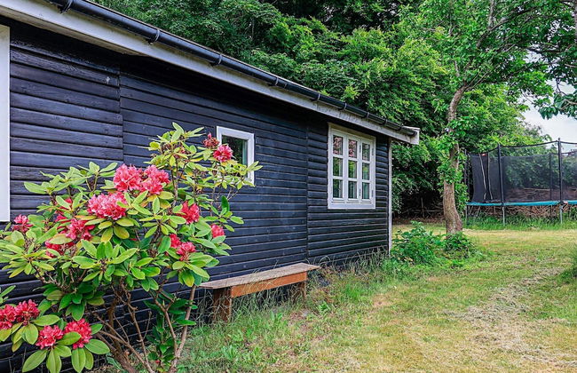 6 Person Holiday Home in Jaegerspris - Foto 43