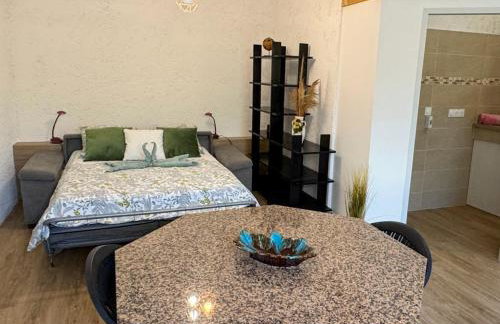 Domaine Mare e Monti - T1 Le Maquis - Foto 11