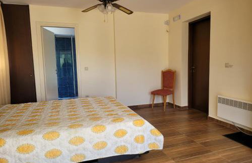 Green House Marathon - Greece - Foto 24