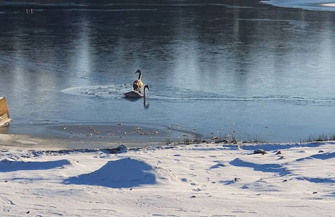 Well-equipped Beachside Cottage - Foto 42