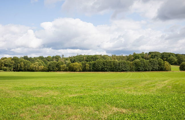 4 bedroom House in Johannishus with garden - Photo 24