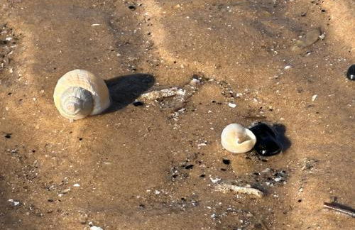 High view house, 3 bed flat, Number 41A - Foto 36