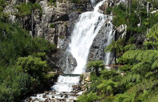 Woodlands Rainforest Retreat - Foto 21