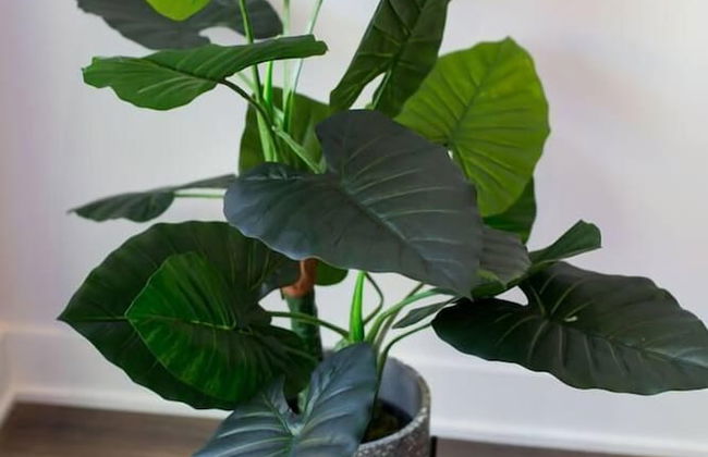 Brand New 3 Bedroom With Rooftop Patio - Foto 70