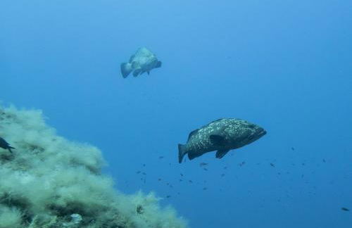 Les Terrasses du Mirage grand T2 - Foto 29