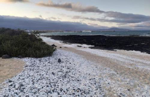 Apartamento Verdemare - Photo 48