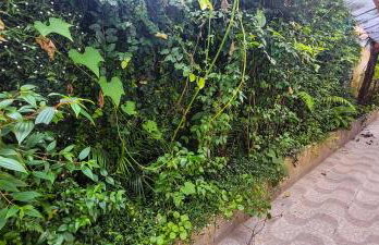 Casa 2000 Positivo UTFPR INC Volvo - Foto 26