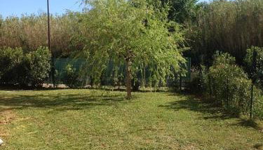 Villa tout confort, à 5mn de St Rémy de Provence - Foto 3, Garden, Garden view