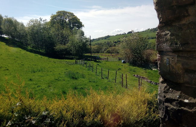 Cobden View - Foto 23