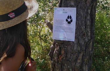 Gréolières Les Neiges - Foto 35