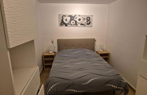 Gîte entre Rieu et Fournache - Foto 24