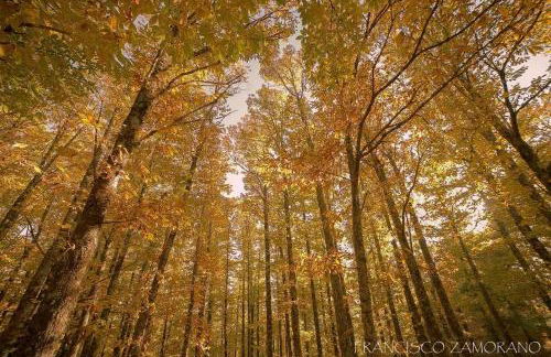 Casa Cuesta del Reloj - Photo 46