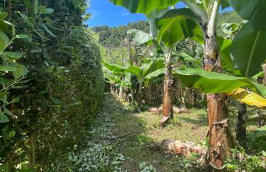 Casa da Eira - Photo 41