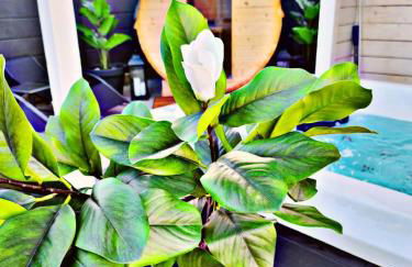 Lions Place Premium Apartments EXECUTIVE Luxus PENTHOUSE inklusive SPA - Foto 43