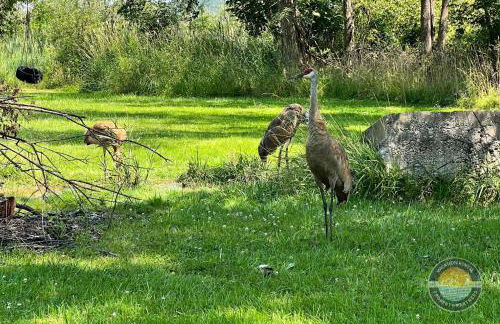 New Lake Como Retreat with Bar and Pool Table - Foto 25