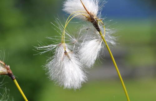 Landhaus Brigitte - Photo 55