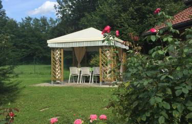 La Casetta sulla Marteniga - Foto 4