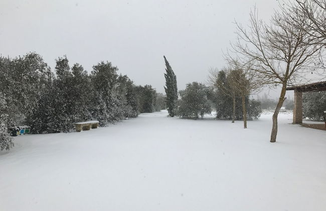 Masseria La Torre - Foto 51