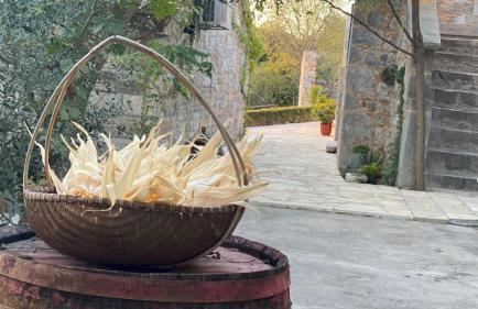 Stone Holiday Homes Stankovci with pool and Mediterranean gardens - Foto 12