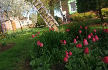 Domek na wsi Wiejsko Czarodziejsko - Agroturystyka Podlasie - Foto 65