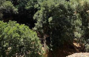 Apartamento en Carrera del Darro, Granada, Cubo - Photo 65